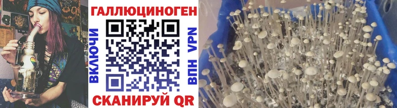 где продают   Краснокамск  Галлюциногенные грибы прущие грибы 